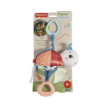 Încarcă imaginea în Galerie, Fisher Price Planet Friends Jucarie de Agatat Broscuta Testoasa