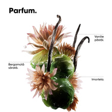 Încarcă imaginea în Galerie, L’Oreal Professionnel SE Absolut Repair Molecular Trio Travel - Set Pentru Par Deteriorat