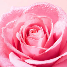 Încarcă imaginea în Galerie, Nuxe Very Rose Refreshing Toning Mist - Spray Revigorant si Tonifiant pentru Fata 200ml