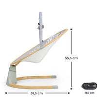 Încarcă imaginea în Galerie, Kinderkraft Leagan Electric 2 in 1 Lumi Grey