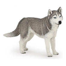 Încarcă imaginea în Galerie, Papo Rase de Caini si Pisici Figurina Husky Siberian