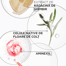 Încarcă imaginea în Galerie, Kerastase Genesis Bain Hydra-Fortifiant Sampon Pentru Par Gras Subtiat Reincarcabil 500ml