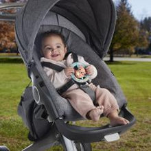 Încarcă imaginea în Galerie, Fisher Price Jucarie Zornaitoare Salamandra