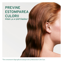 Încarcă imaginea în Galerie, Matrix Biolage Colorlast Sampon 400ml - Pentru Par Vopsit