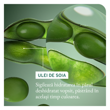 Încarcă imaginea în Galerie, Matrix Biolage Colorlast Sampon 400ml - Pentru Par Vopsit