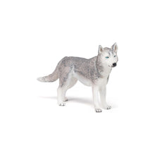 Încarcă imaginea în Galerie, Papo Rase de Caini si Pisici Figurina Husky Siberian