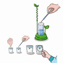 Încarcă imaginea în Galerie, Clementoni Gradina Mea Stiinta Joaca