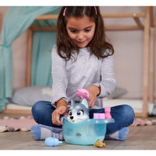 Încarcă imaginea în Galerie, Simba Pamper Petz Catelusul Husky la Baie