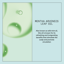 Încarcă imaginea în Galerie, Nioxin Scalp Recovery Shampoo 1000ml - Sampon Anti-Matreata