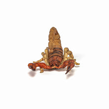 Încarcă imaginea în Galerie, Papo Animale Salbatice Figurina Scorpion