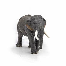 Încarcă imaginea în Galerie, Papo Animale Salbatice Figurina Elefant Asiatic