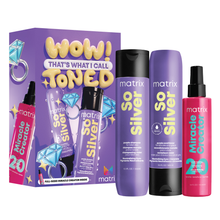 Încarcă imaginea în Galerie, Matrix Total Results So Silver - Set Pentru Par Blond