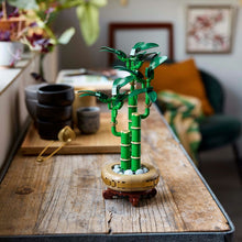 Încarcă imaginea în Galerie, Lego Botanicals Bambus Norocos