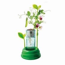 Încarcă imaginea în Galerie, Clementoni Gradina Mea Stiinta Joaca