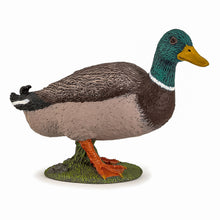 Încarcă imaginea în Galerie, Papo Prietenii de la Ferma Figurina Rata Mallard