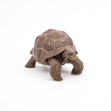 Încarcă imaginea în Galerie, Papo Animale Salbatice Figurina Testoasa Galapagos