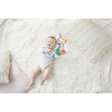 Încarcă imaginea în Galerie, Hape Turn de Stivuire Iepuras