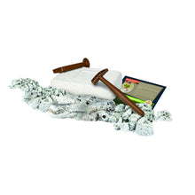 Încarcă imaginea în Galerie, Clementoni Descopera Dinozaurul T-Rex