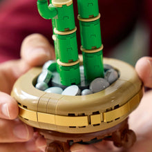 Încarcă imaginea în Galerie, Lego Botanicals Bambus Norocos