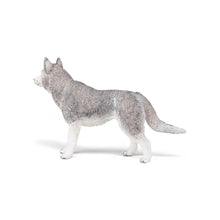 Încarcă imaginea în Galerie, Papo Rase de Caini si Pisici Figurina Husky Siberian