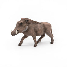 Încarcă imaginea în Galerie, Papo Animale Salbatice Figurina Facochoer