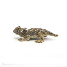 Încarcă imaginea în Galerie, Papo Animale Salbatice Figurina Soparla cu Coarne