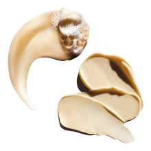 Încarcă imaginea în Galerie, L`Oreal Professionnel SE Absolut Repair Duo - Set Pentru Par Uscat si Deteriorat