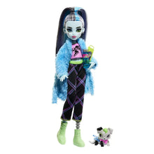 Încarcă imaginea în Galerie, Monster High Papusa Creepover Party Frankie