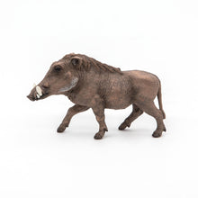 Încarcă imaginea în Galerie, Papo Animale Salbatice Figurina Facochoer