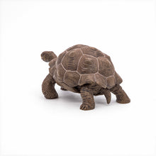 Încarcă imaginea în Galerie, Papo Animale Salbatice Figurina Testoasa Galapagos