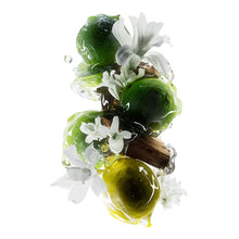 Încarcă imaginea în Galerie, L’Oreal Professionnel SE Metal Detox Duo - Set Anti-Rupere pentru Par