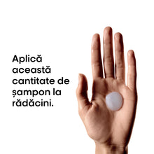 Încarcă imaginea în Galerie, L'Oreal Professionnel SE Vitamino Color Spectrum - Sampon Pentru Par Vopsit 300ml