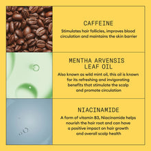 Încarcă imaginea în Galerie, Nioxin System 1 Treatment 100ml - Tratament Impotriva Caderii Parului