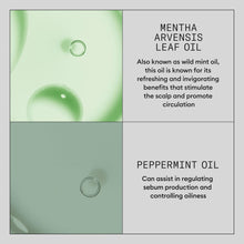 Încarcă imaginea în Galerie, Nioxin Serum Hair Booster 100ml - Tratament Intens Impotriva Caderii Parului