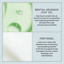 Încarcă imaginea în Galerie, Nioxin Strong Hold Spray 300ml - Spray Pentru Fixare