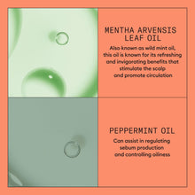 Încarcă imaginea în Galerie, Nioxin System 4 Conditioner 300ml - Balsam Impotriva Caderii Parului