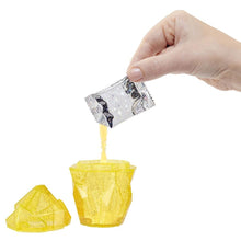 Încarcă imaginea în Galerie, Rainbow High Papusa Sunny Madison