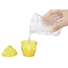 Încarcă imaginea în Galerie, Rainbow High Papusa Sunny Madison