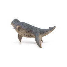 Încarcă imaginea în Galerie, Papo Dinozauri Figurina Kronosaurus