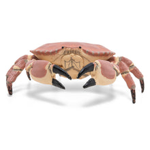 Încarcă imaginea în Galerie, Papo Universul Acvatic Figurina Crab