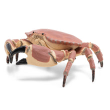 Încarcă imaginea în Galerie, Papo Universul Acvatic Figurina Crab