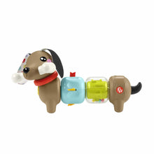 Încarcă imaginea în Galerie, Fisher Price Jucarie Catelus de Activitate Pentru Bebelusi Click and Spin