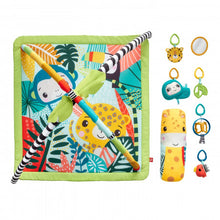 Încarcă imaginea în Galerie, Fisher Price Salteluta 3 in 1