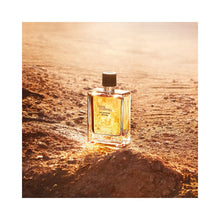 Încarcă imaginea în Galerie, Hermes Terre D'Hermes Vetiver Eau de Parfums 100ml - Pentru Barbati