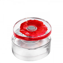 Încarcă imaginea în Galerie, Kenzo Flower In The Air Eau de Toilette 100ml - Pentru Femei
