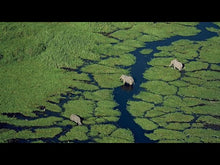 Încarcă și redă videoclipul în Galerie, Guerlain Aqua Allegoria Nettare Di Sole Eau de Toilette 75ml - Pentru Femei