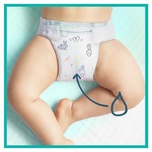 Încarcă imaginea în Galerie, Pampers Harmonie Nr 5 11+kg - Scutece 24buc