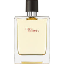 Încarcă imaginea în Galerie, Hermes Terre D'Hermes Eau de Toilette 100ml - Pentru Barbati