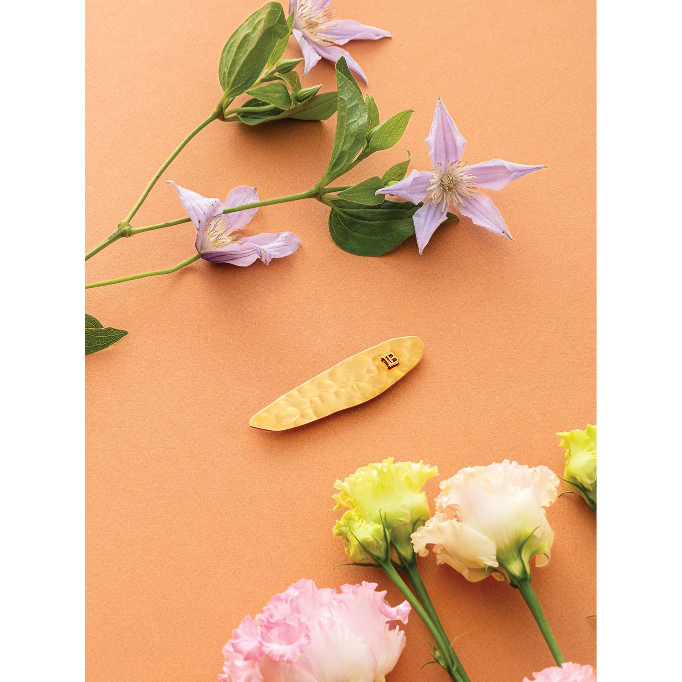 Balmain Limited Edition Printemps Leaf Slide - Agrafa - Beauty Lounge