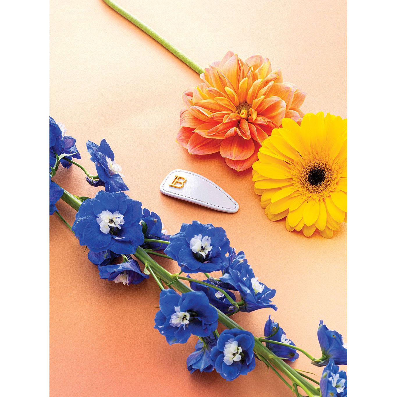 Balmain Limited Edition Printemps Leather Snap Hair Clip – Agrafa de Lux - Beauty Lounge